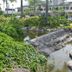 Pemandangan luar