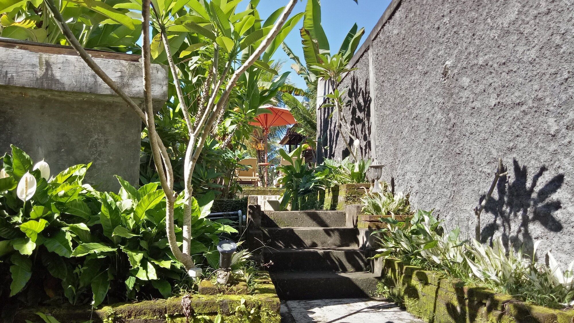 Pemandangan luar