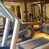 Gim