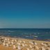 Pantai