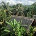 Pemandangan luar