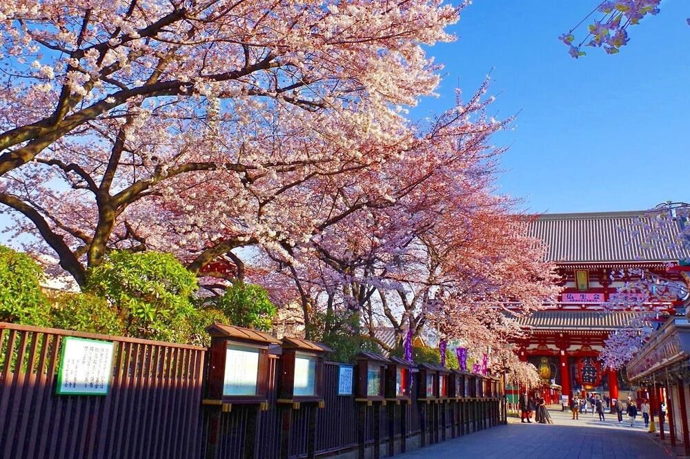 Pemandangan luar