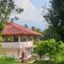Pemandangan luar