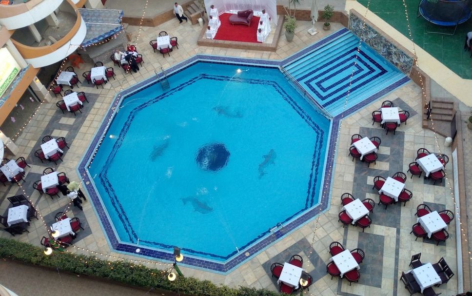 Kolam renang Gambar