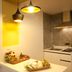 Dapur