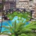 Kolam renang