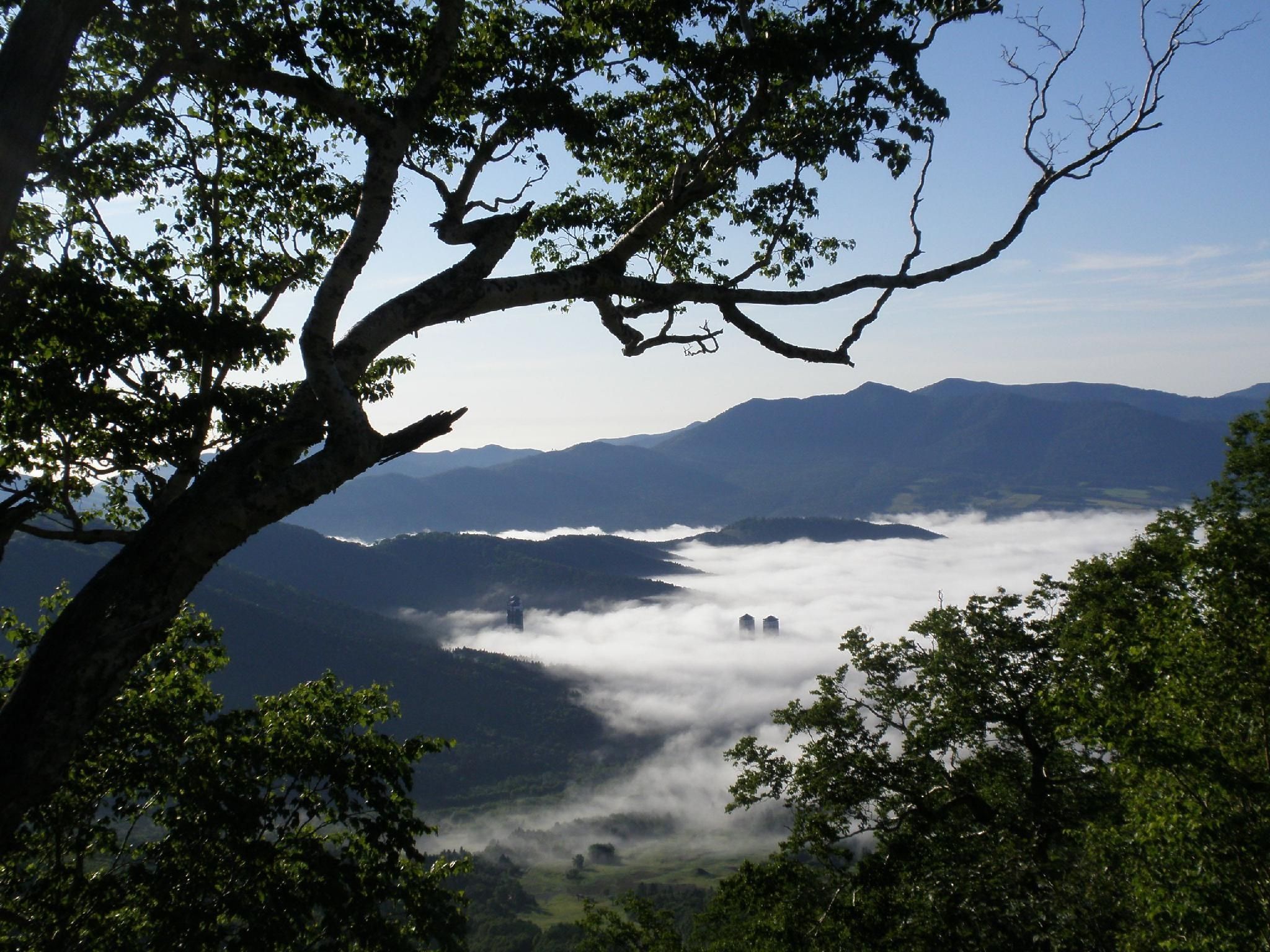 Pemandangan luar