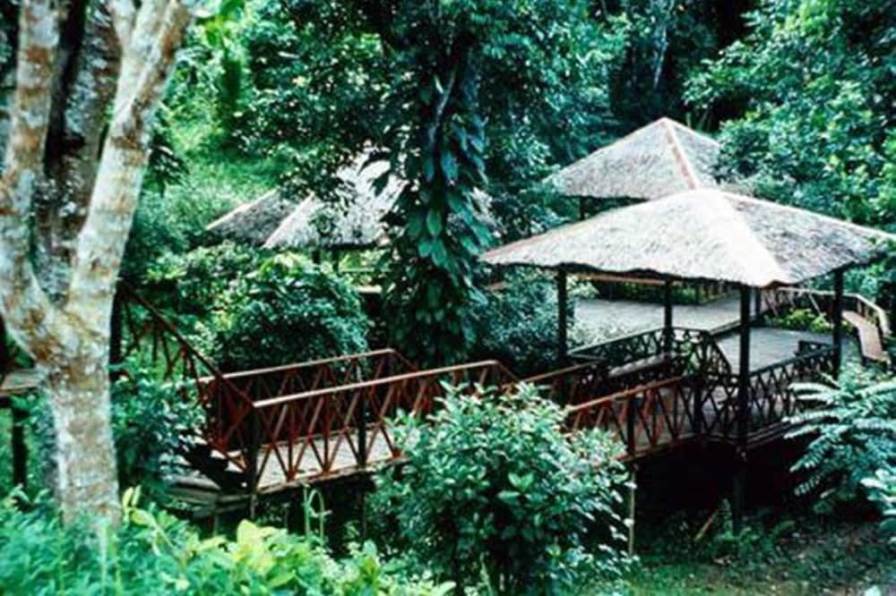 Pemandangan luar