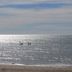 Pantai