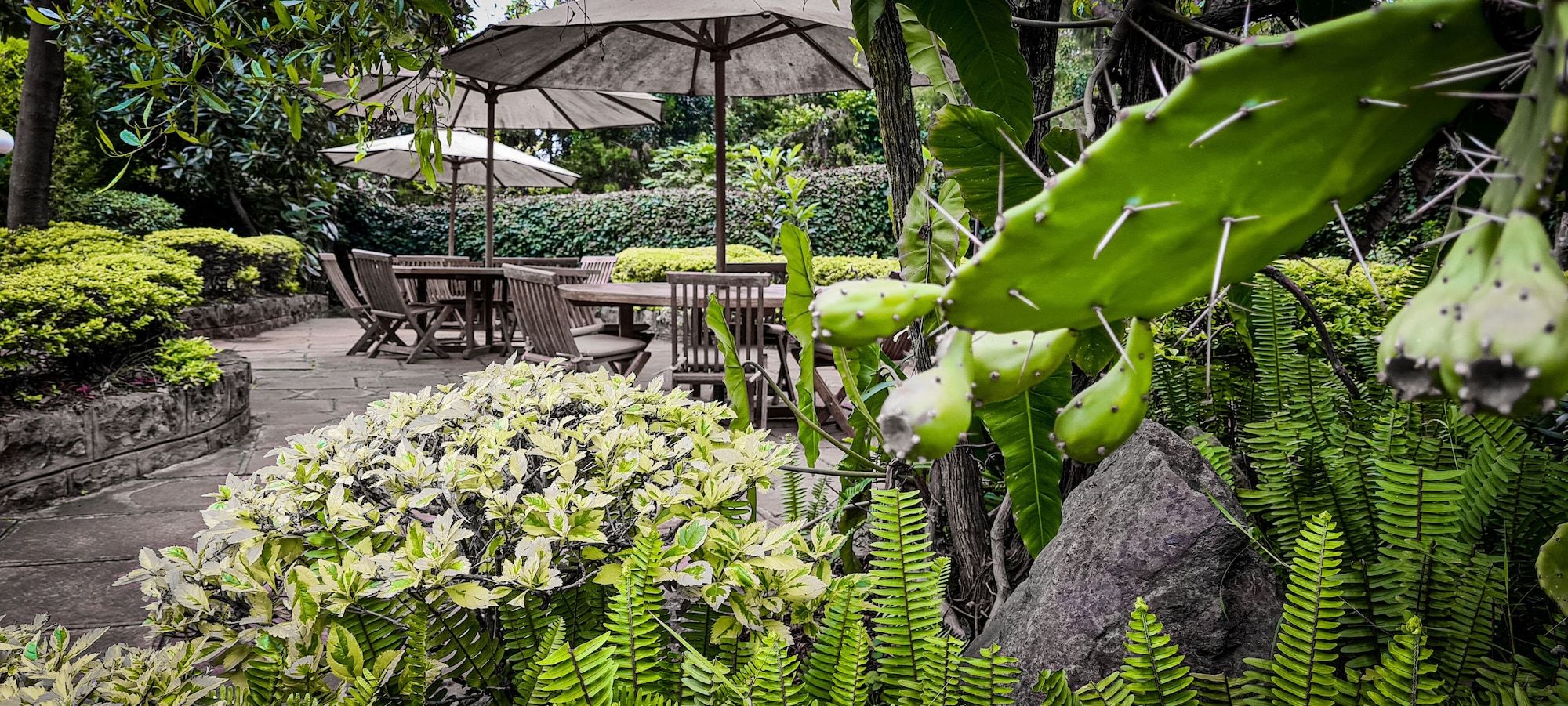 Patio Gambar