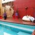 Kolam renang