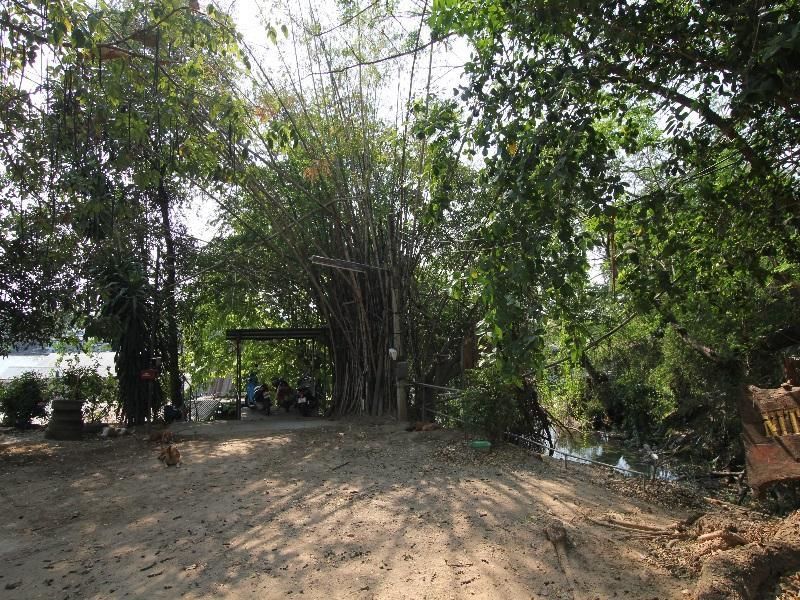 Pemandangan luar