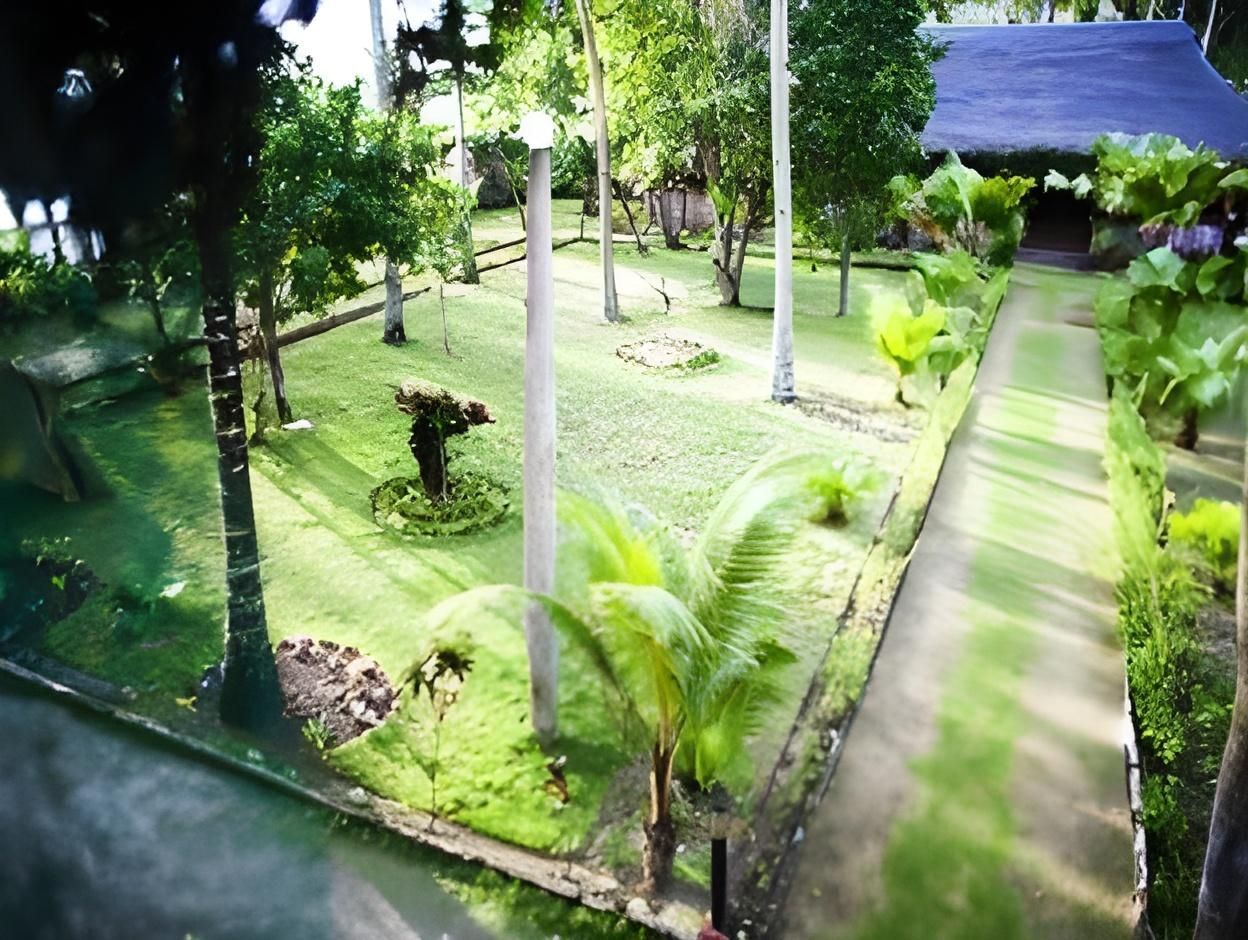 Pemandangan luar