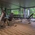 Gim