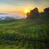 Pemandangan luar
