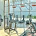 Gim
