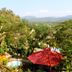Pemandangan luar