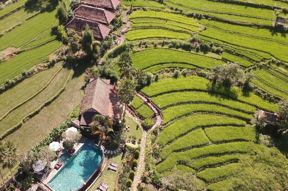 Pemandangan luar