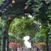 Pemandangan luar
