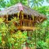 Pemandangan luar