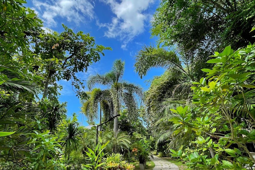 Pemandangan luar