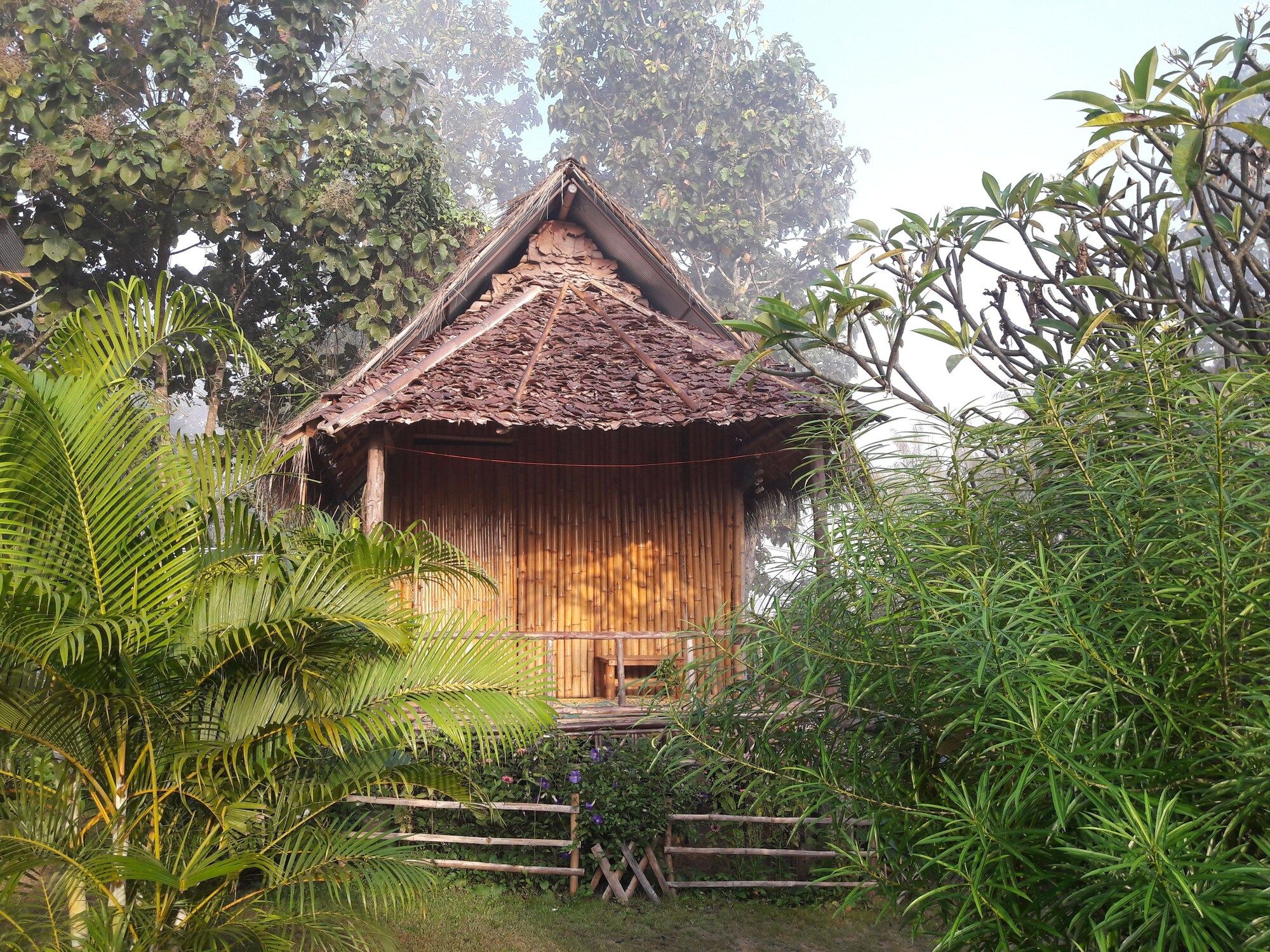 Pemandangan luar