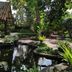 Pemandangan luar