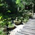 Pemandangan luar