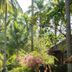 Pemandangan luar
