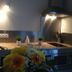 Dapur