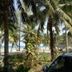 Pemandangan luar