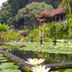 Pemandangan luar