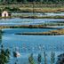 Pemandangan luar