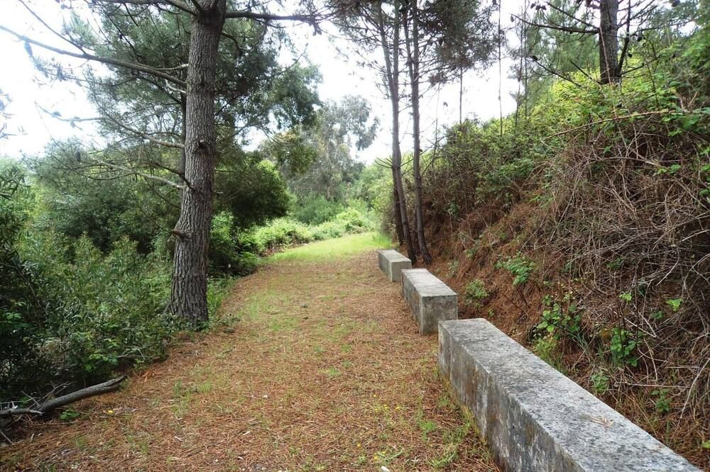 Pemandangan luar