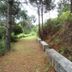 Pemandangan luar