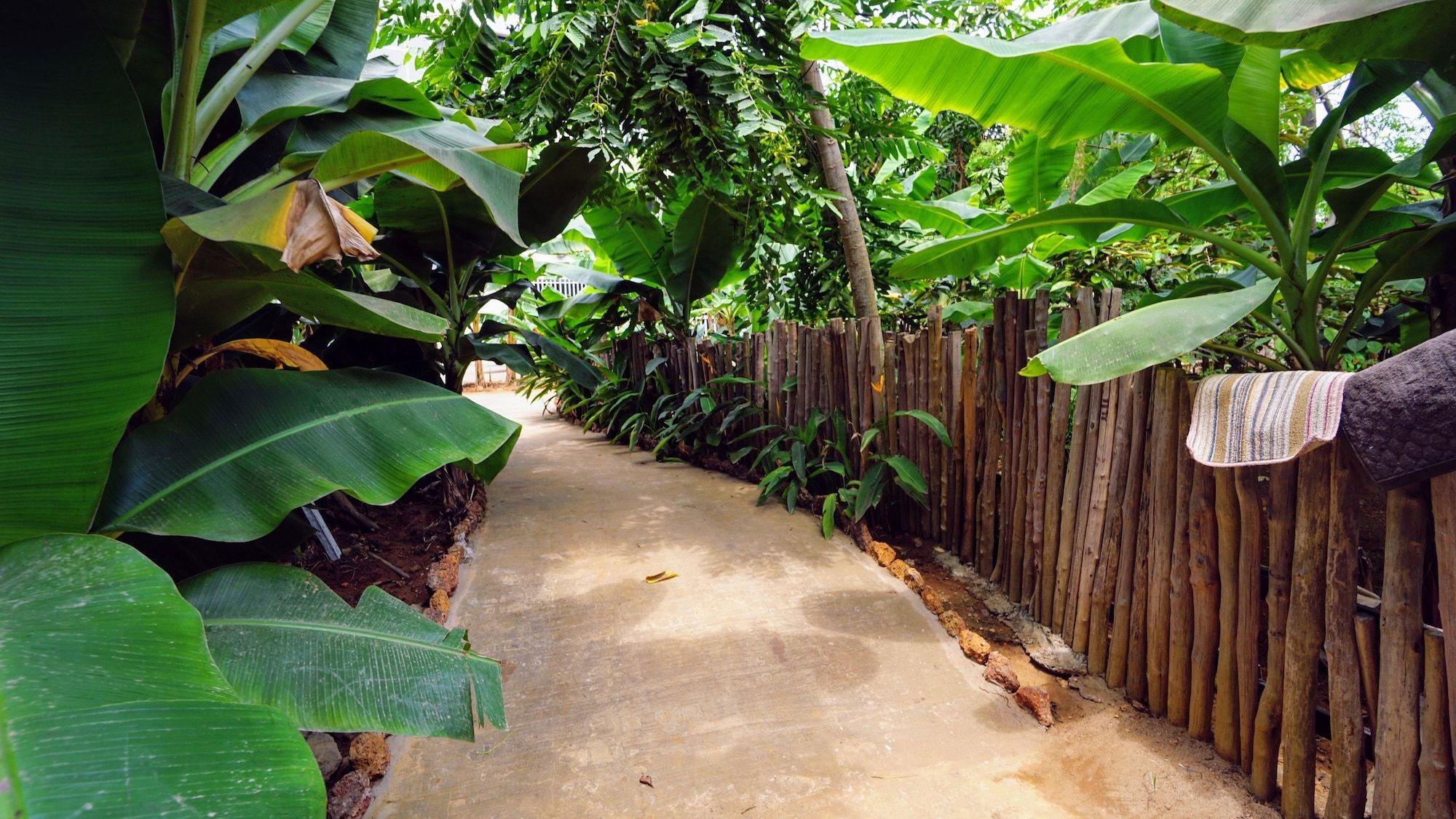 Pemandangan luar