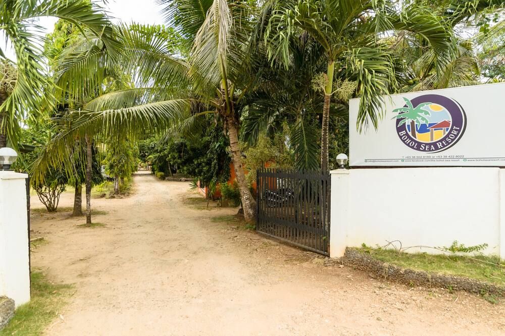 Pemandangan luar