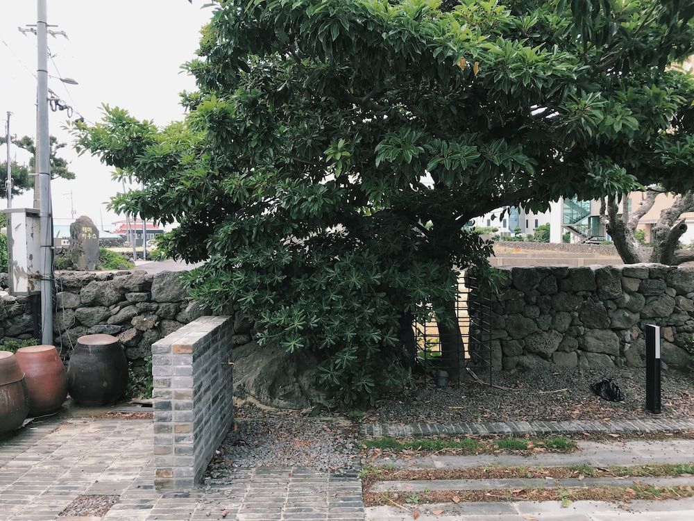 Pemandangan luar
