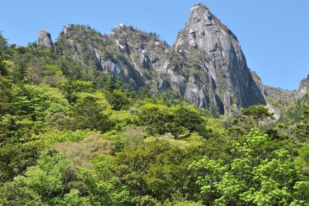 Pemandangan luar