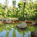 Pemandangan luar