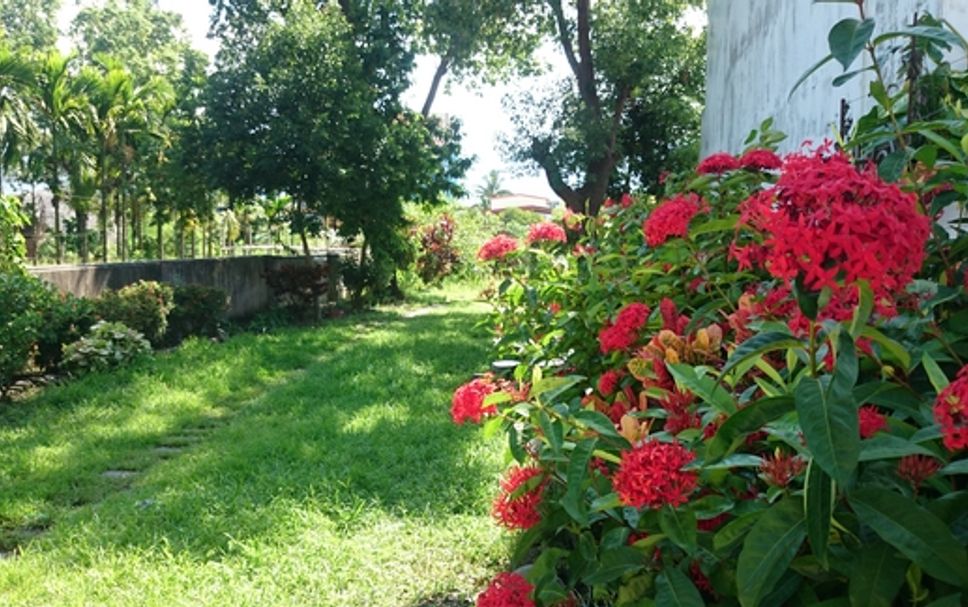Pemandangan luar Gambar