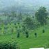 Pemandangan luar