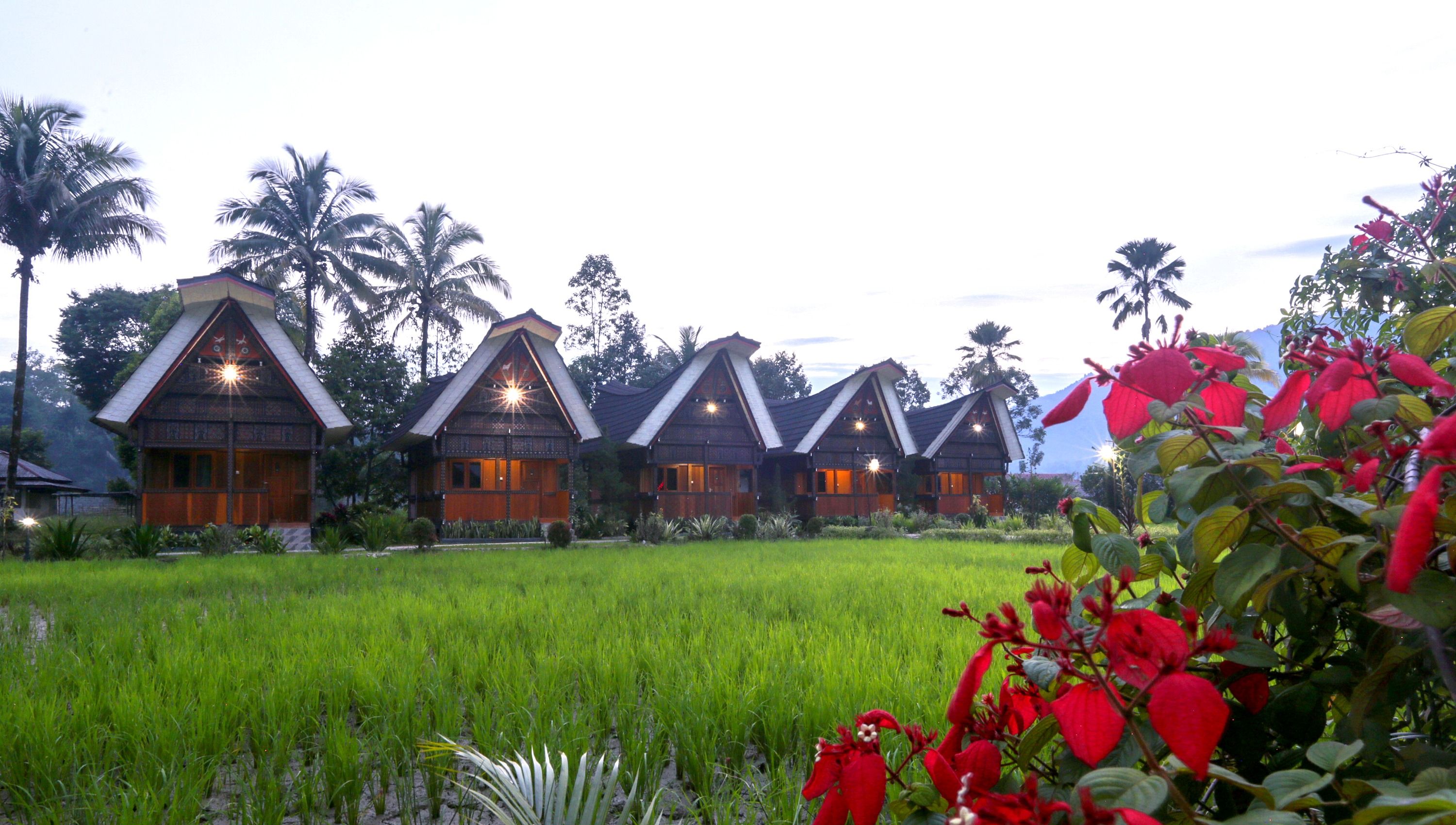 Pemandangan luar