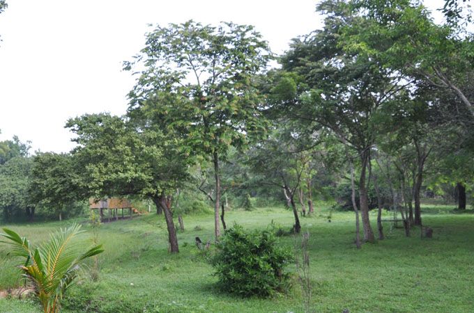 Pemandangan luar