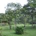 Pemandangan luar