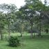 Pemandangan luar