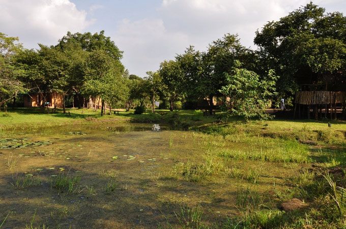 Pemandangan luar
