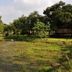 Pemandangan luar