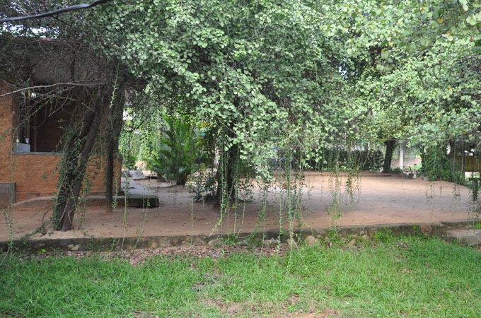 Pemandangan luar