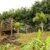 Pemandangan luar